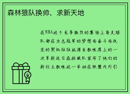 森林狼队换帅，求新天地